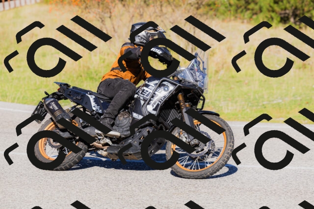 202509201035-_04A0217_c3