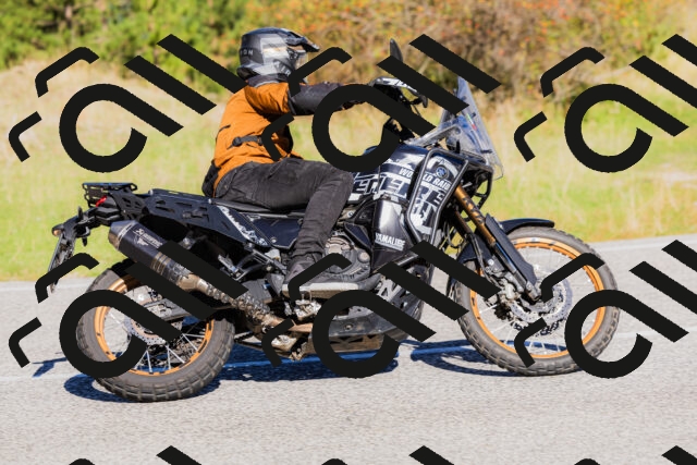 202509201035-_04A0218_c3