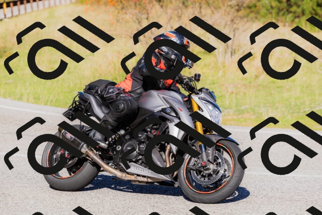 202509201035-_04A0223_c3