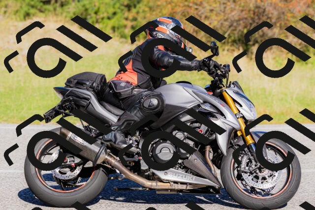 202509201035-_04A0224_c3