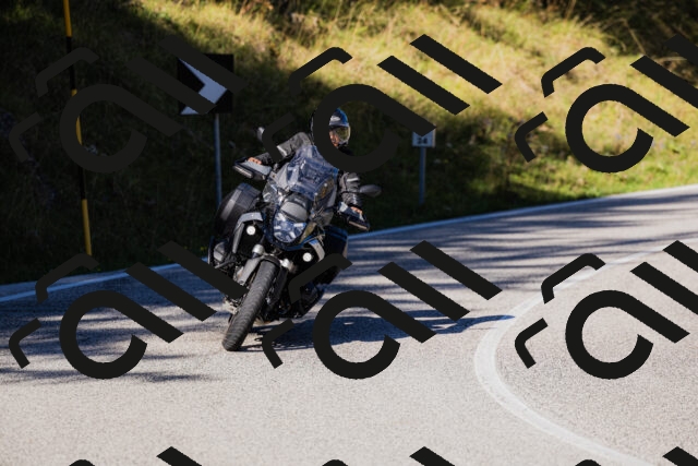 202509201036-_04A0225_c3