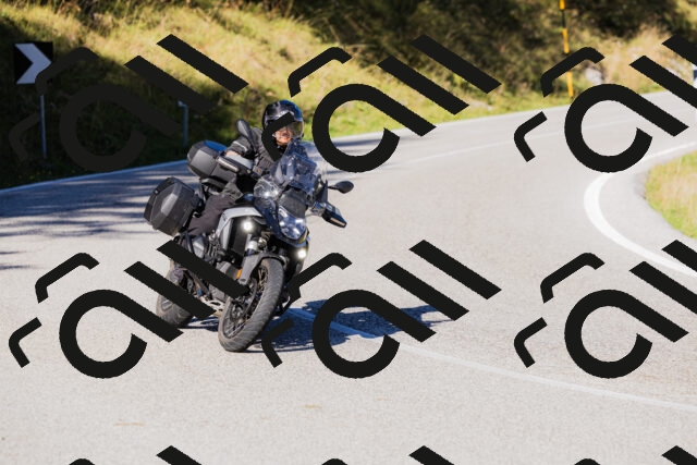 202509201036-_04A0226_c3