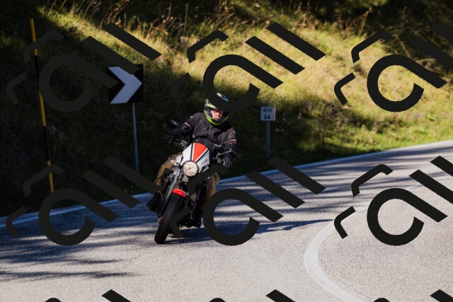 202509201036-_04A0231_c3