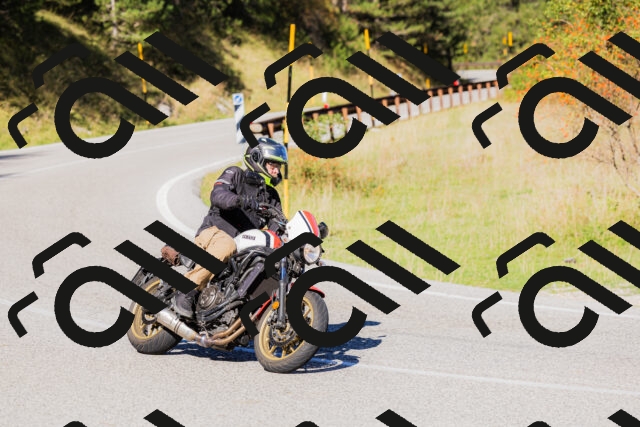 202509201036-_04A0232_c3