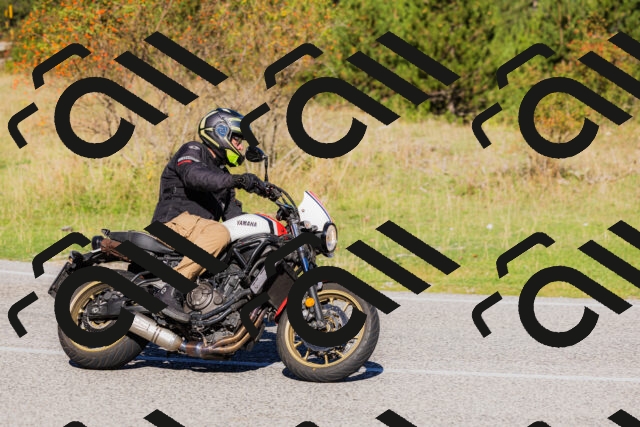 202509201036-_04A0233_c3