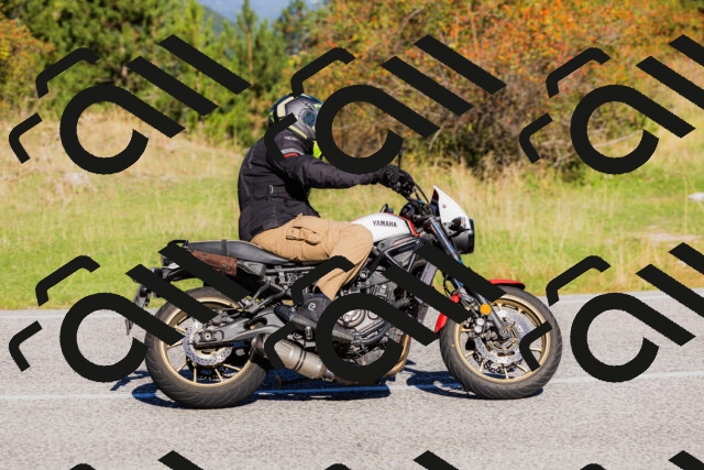 202509201036-_04A0234_c3