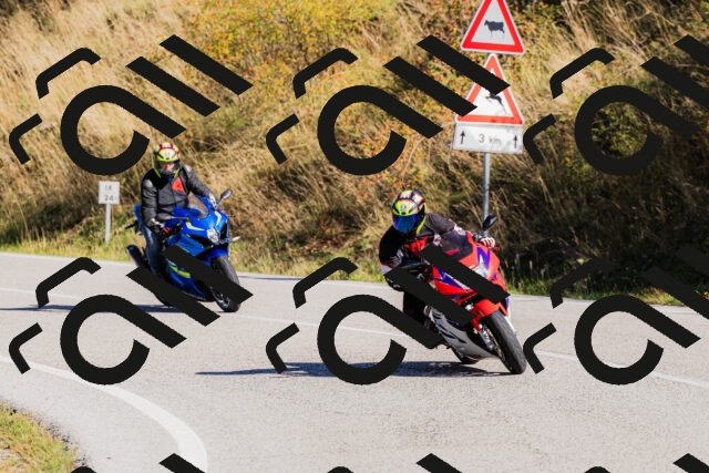 202509201037-_04A0235_c3