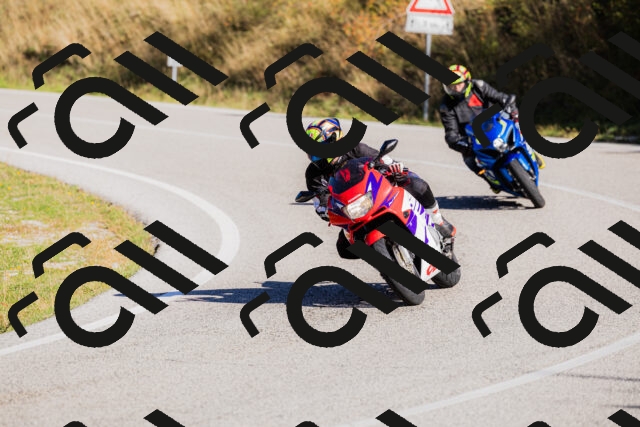 202509201037-_04A0237_c3