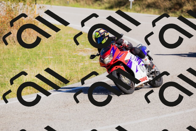 202509201037-_04A0238_c3