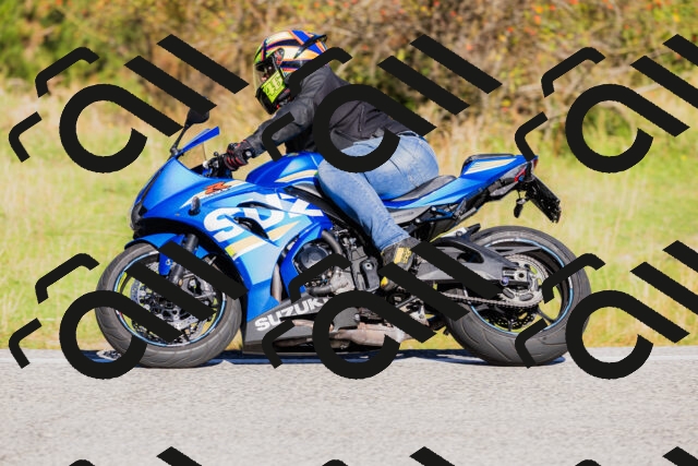 202509201037-_04A0241_c3