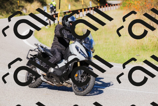 202509201037-_04A0242_c3