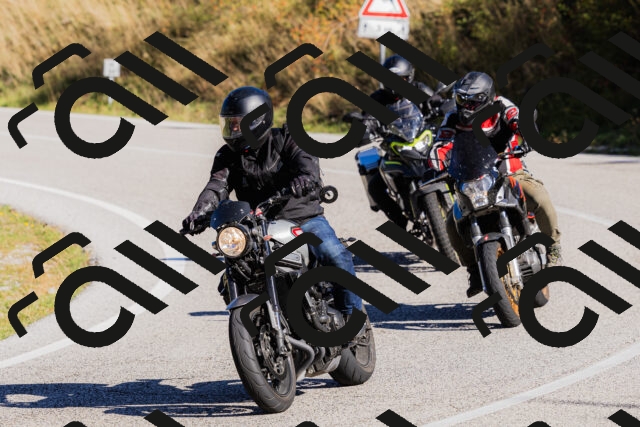 202509201037-_04A0254_c3