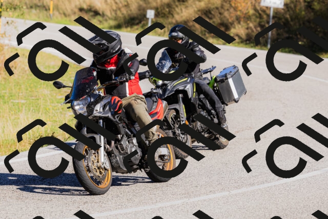 202509201037-_04A0255_c3