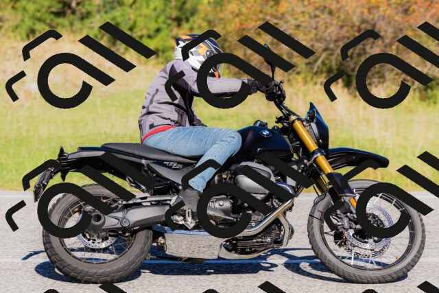 202509201038-_04A0261_c3