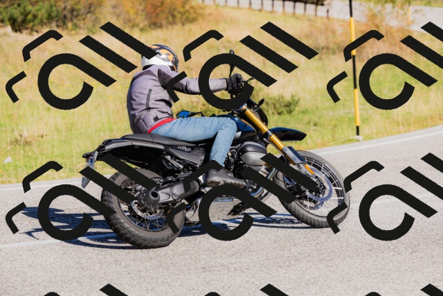 202509201038-_04A0262_c3