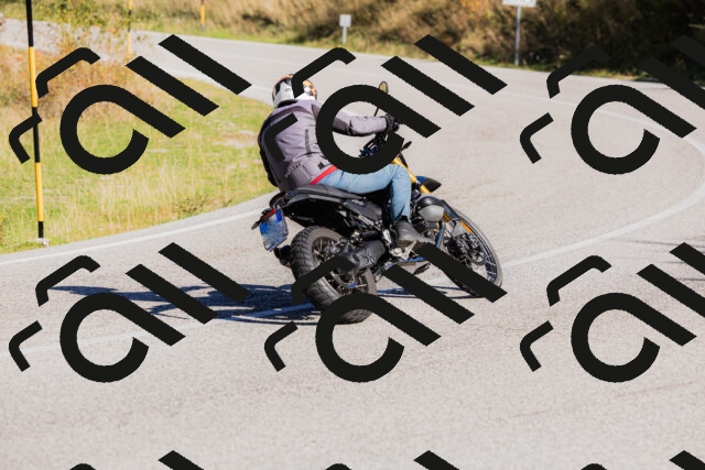 202509201038-_04A0263_c3