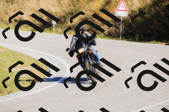 202509201038-_04A0265_c3