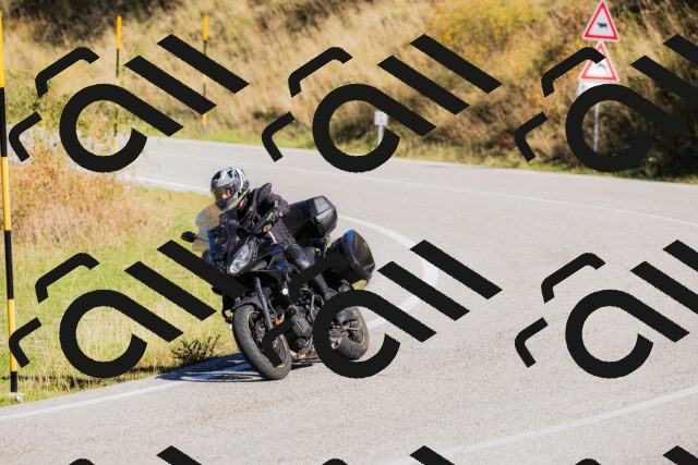 202509201038-_04A0271_c3