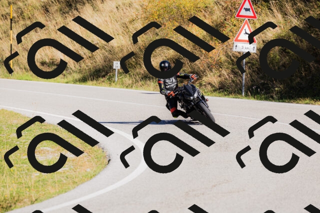 202509201039-_04A0274_c3