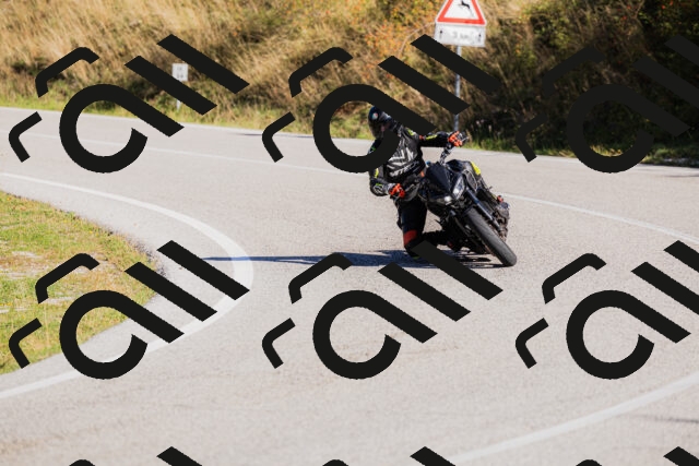 202509201039-_04A0275_c3