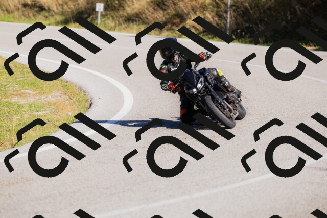 202509201039-_04A0276_c3