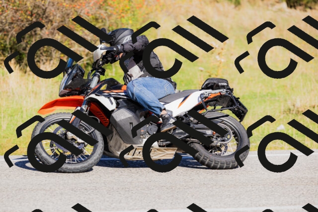 202509201039-_04A0282_c3