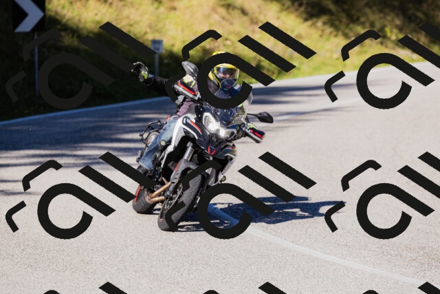 202509201041-_04A0284_c3