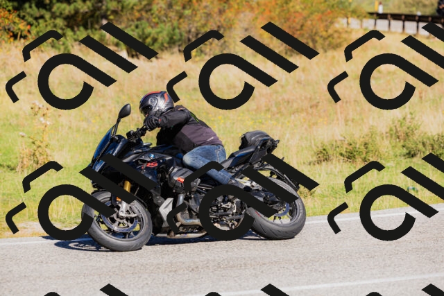 202509201042-_04A0292_c3