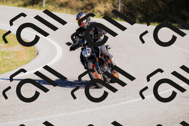 202509201042-_04A0299_c3