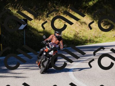 202509201043-_04A0317_c3