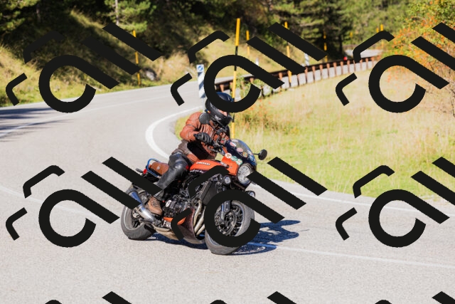 202509201043-_04A0318_c3