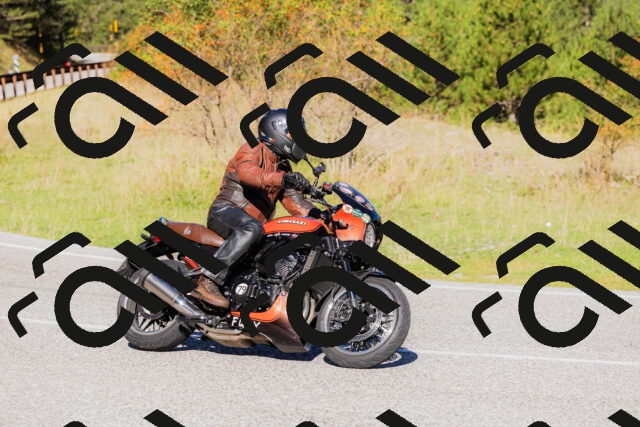 202509201043-_04A0319_c3