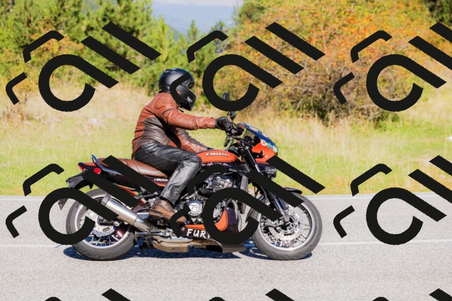 202509201043-_04A0320_c3