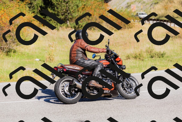 202509201043-_04A0321_c3