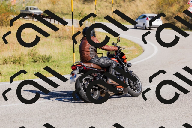 202509201043-_04A0322_c3