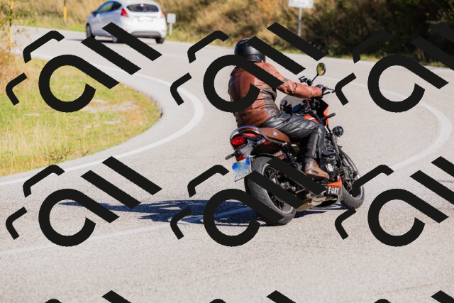 202509201043-_04A0323_c3