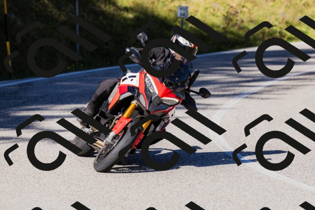 202509201044-_04A0332_c3