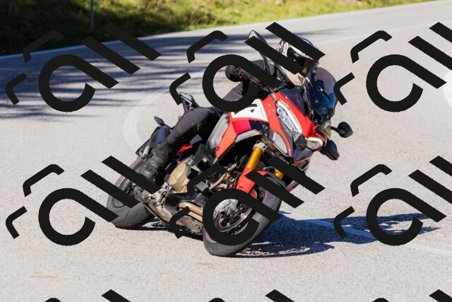 202509201044-_04A0333_c3