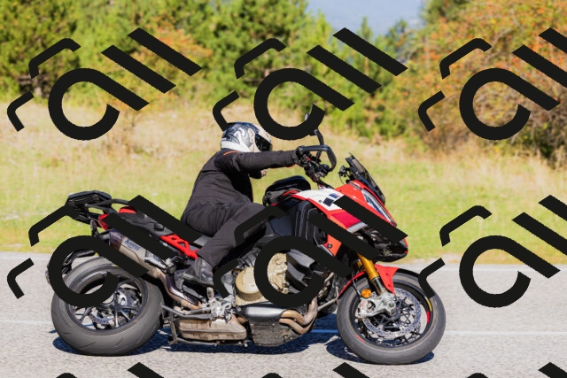 202509201044-_04A0335_c3