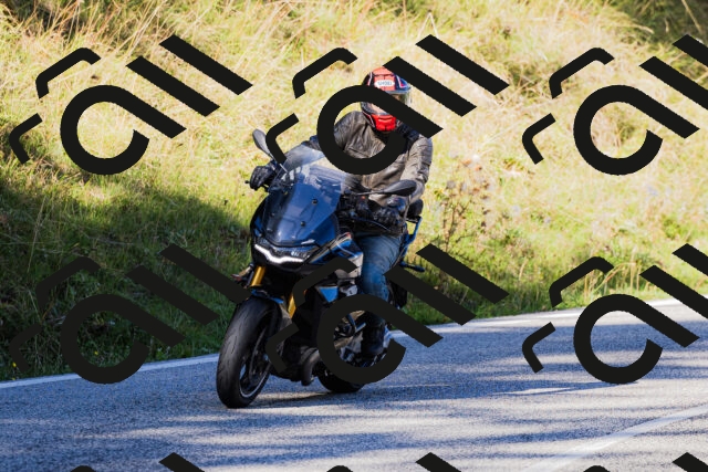 202509201045-_04A0338_c3