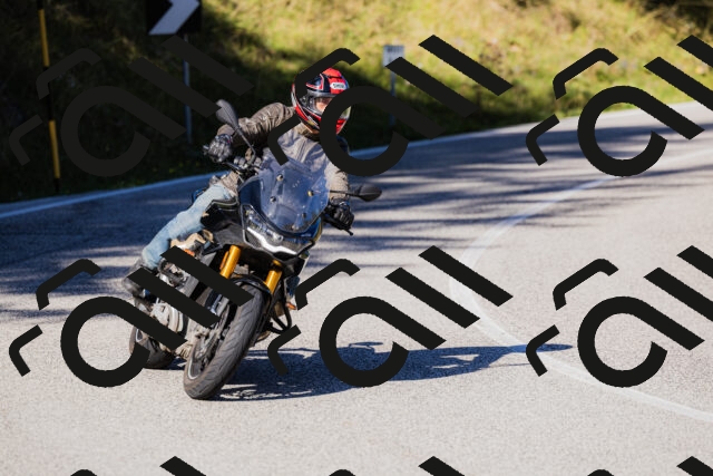 202509201045-_04A0339_c3