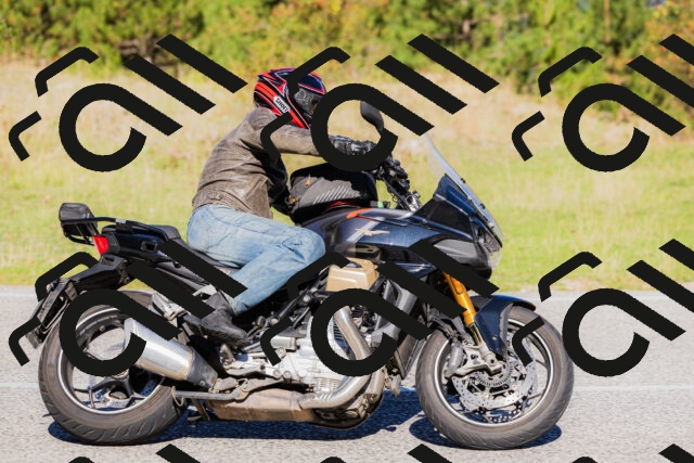 202509201045-_04A0341_c3