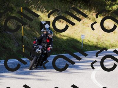 202509201045-_04A0342_c3