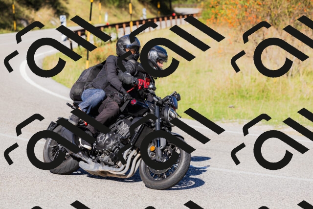 202509201045-_04A0345_c3