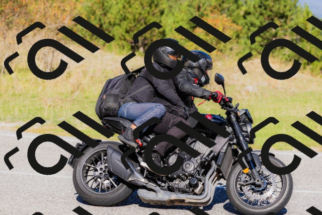 202509201045-_04A0346_c3