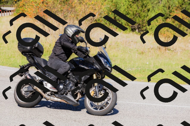 202509201046-_04A0359_c3