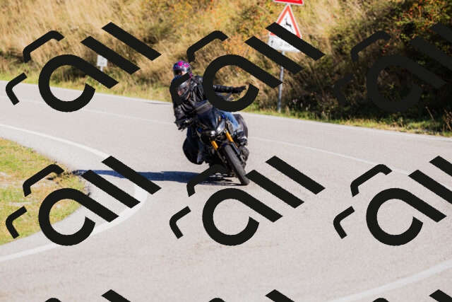 202509201047-_04A0367_c3