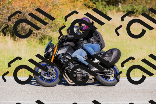 202509201047-_04A0371_c3