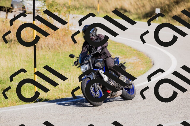 202509201049-_04A0386_c3