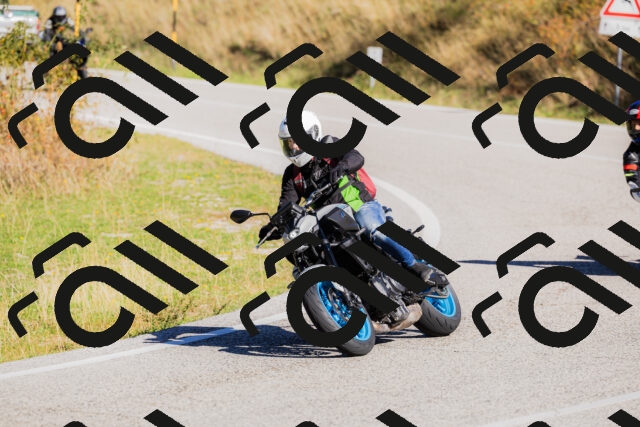 202509201050-_04A0389_c3